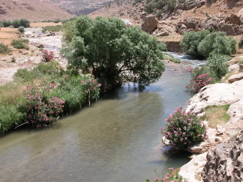 روستای گلین - تصویر 6