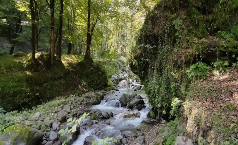 تالاب سادوا - تصویر 1