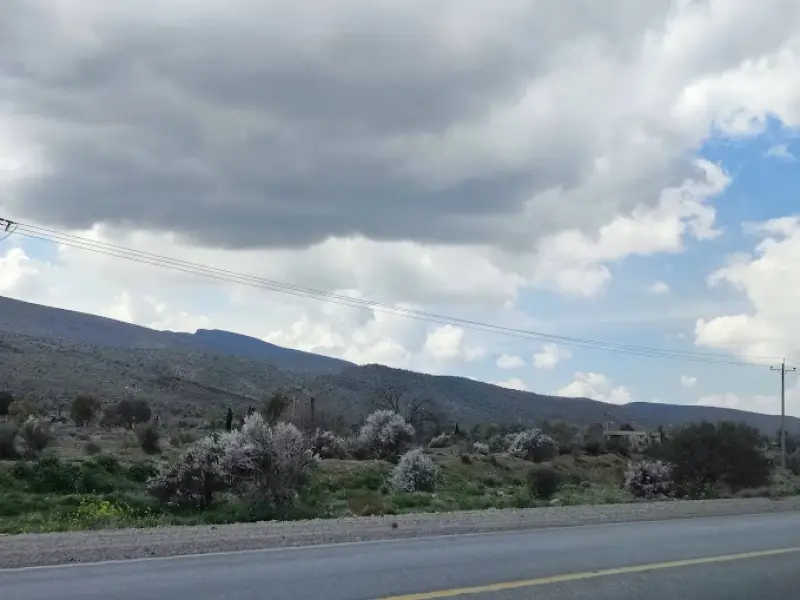 جنگل بناب ارسنجان - تصویر 1