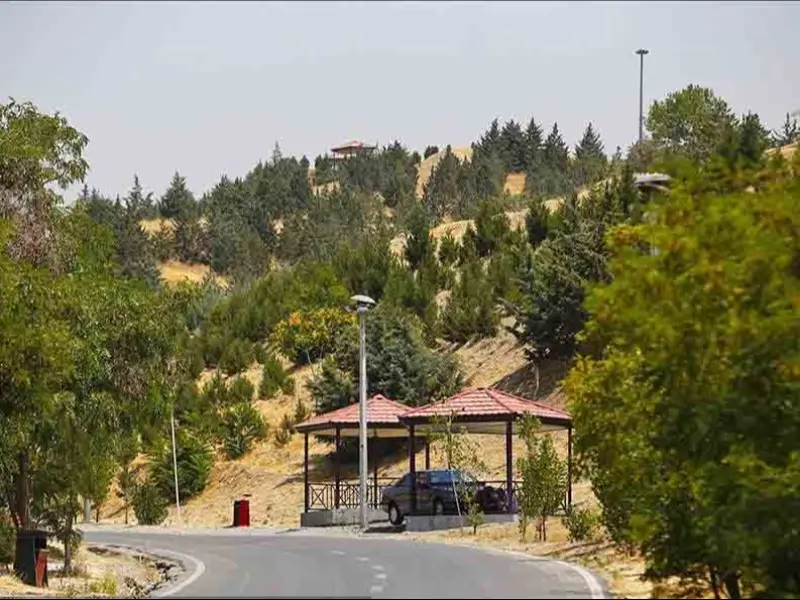 پارک جنگلی‌ یاس
