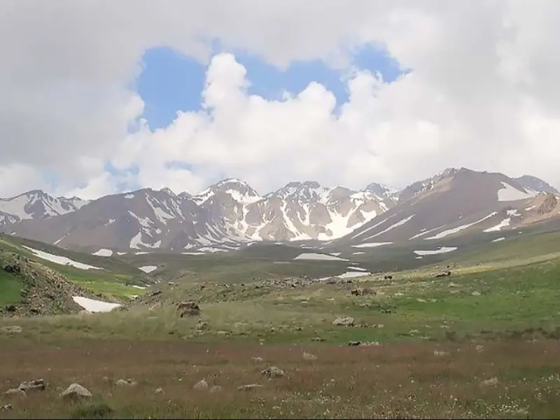 روستای آلوارس