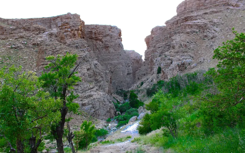 تنگه وستگان - تصویر 1