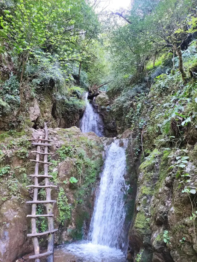 آبشار ریوو - تصویر 1