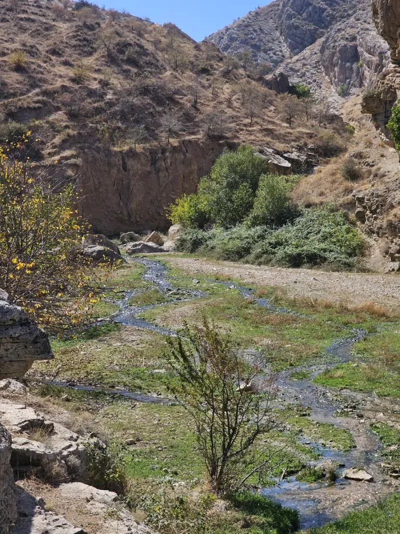روستای نرگسلو علیا - تصویر 5