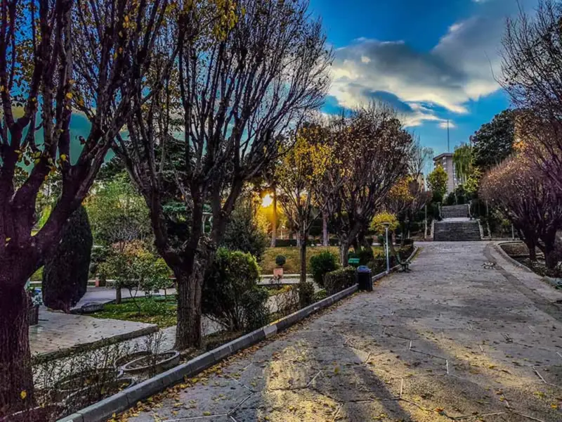 پارک ساعی - تصویر 14