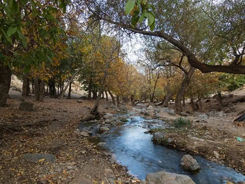 دره‌ قاسملو - تصویر 6