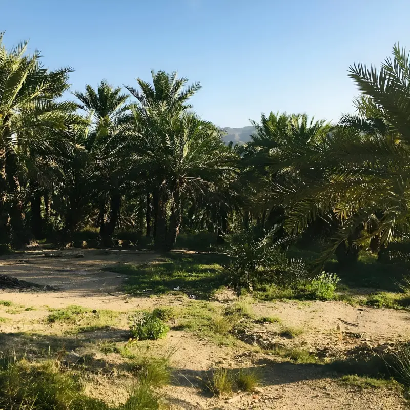 آبگرم سرخا - تصویر 2