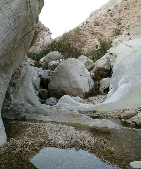 تنگ هیخ، بوشهر