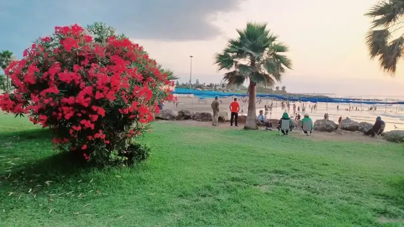 ساحل دریاکنار - تصویر 5