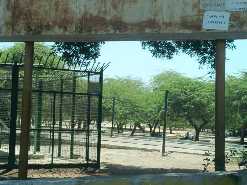 پارک جنگلی خلیج فارس - تصویر 3