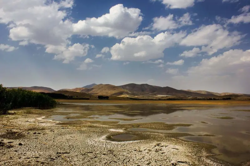 تالاب سیاب دریوش - تصویر 2