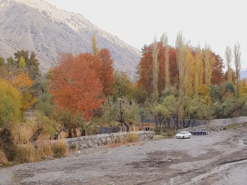دهبکری - تصویر 2